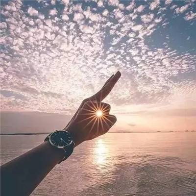 30秒绘画挑战手游下载