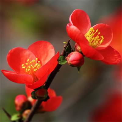 全民童话手游(暂未上线)v1.0 安卓版